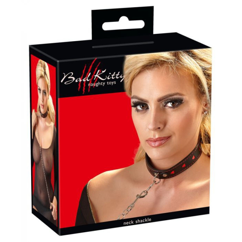 Alternative view of Collar and Leash