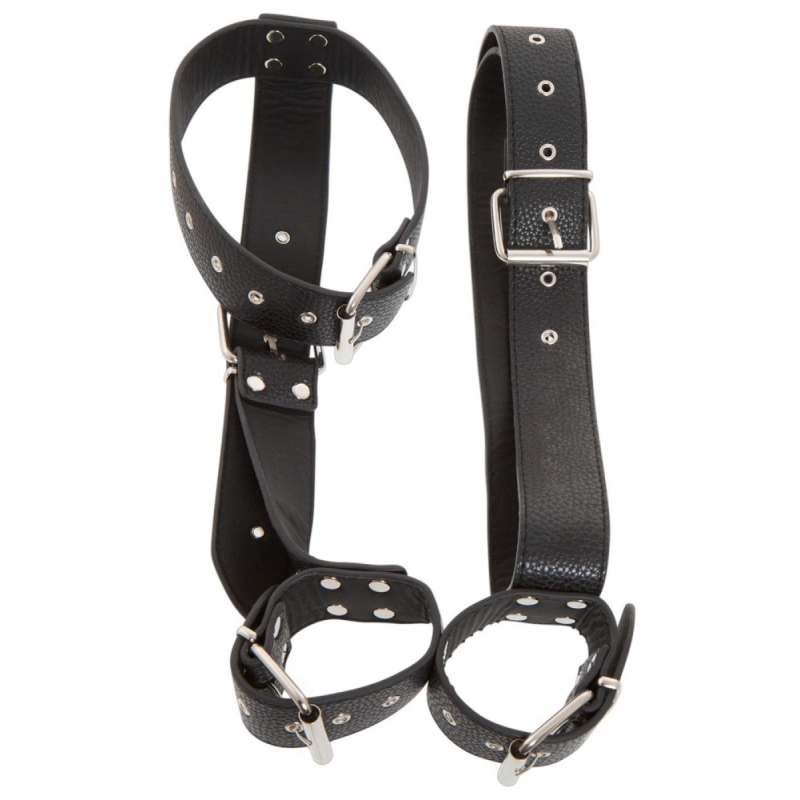 Alternative view of Neck Restraint with