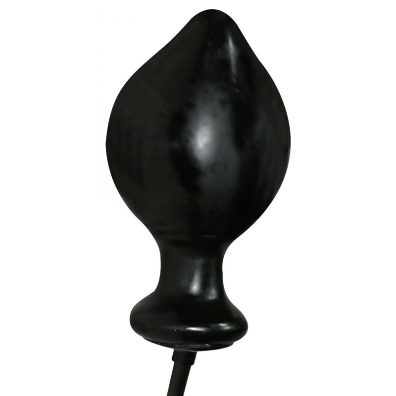 Alternative view of ANAL EXPERT