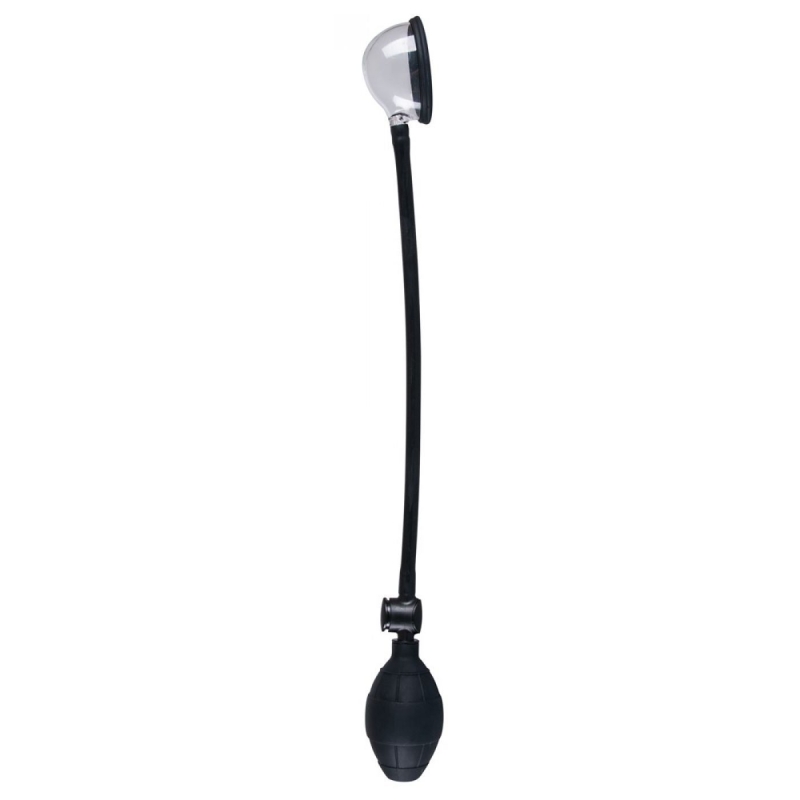 Alternative view of LABIA SUCKER