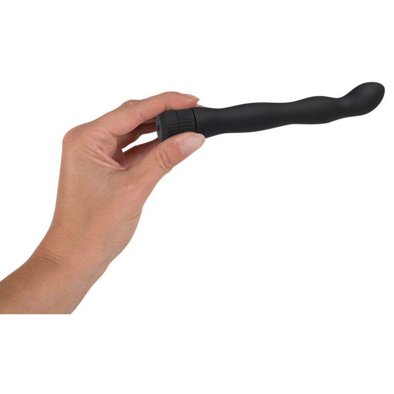 Alternative view of ANAL LOVER