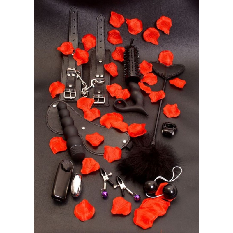 Alternative view of Lovetoy Starter Kit