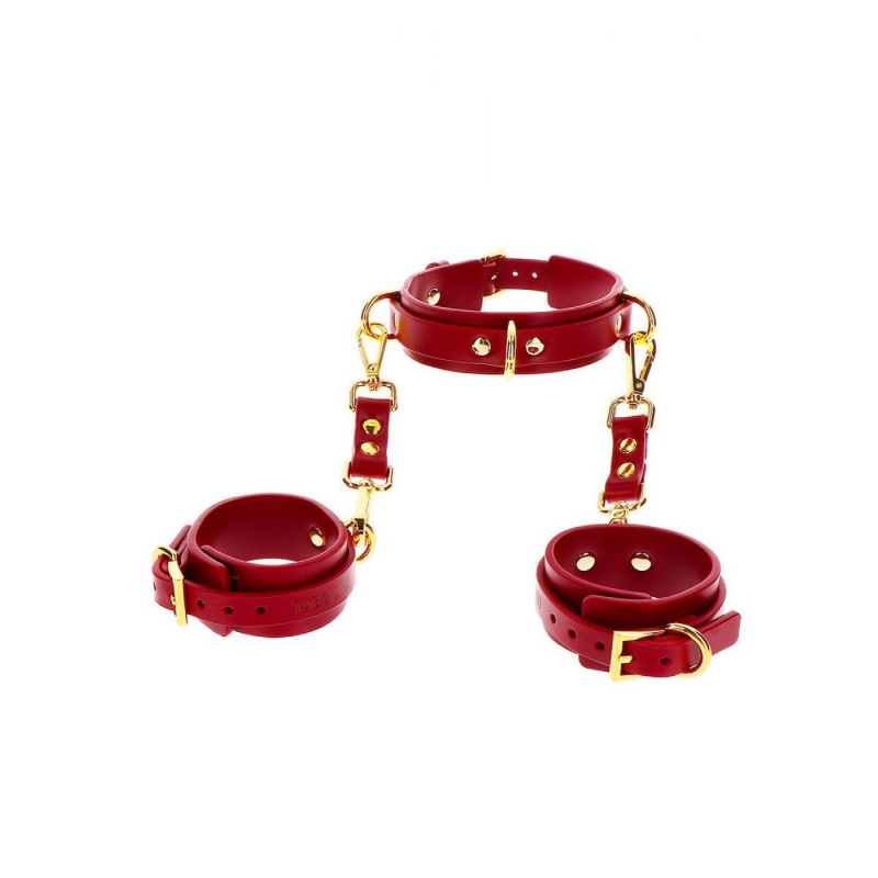 D-ring Collar And Wrist Cuffs