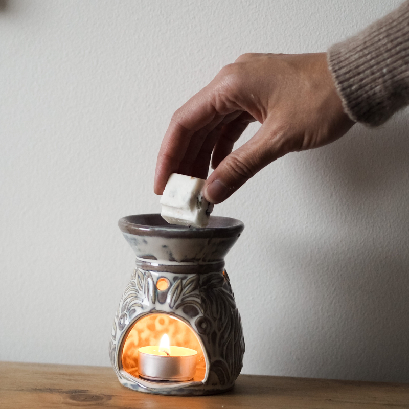 Alternative view of Wax Melts με Ενισχυμένο Άρωμα Malibou Anana