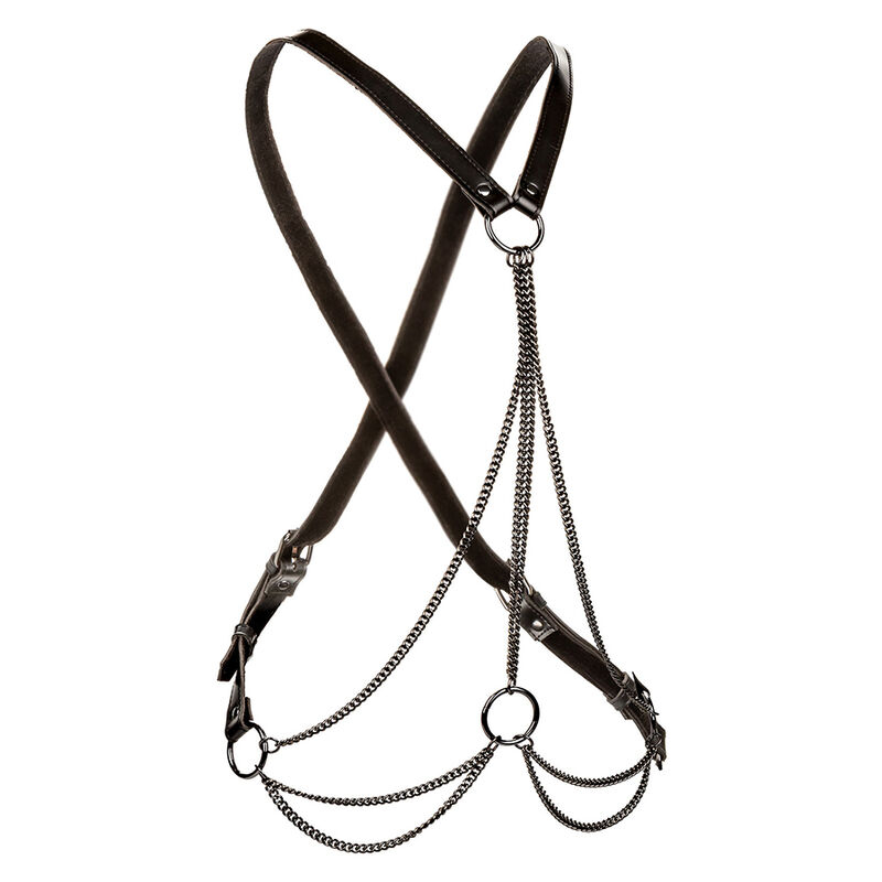 Alternative view of CALEXOTICS - EUPHORIA MULTICHAIN HARNESS PREMIUM PLUS SIZE