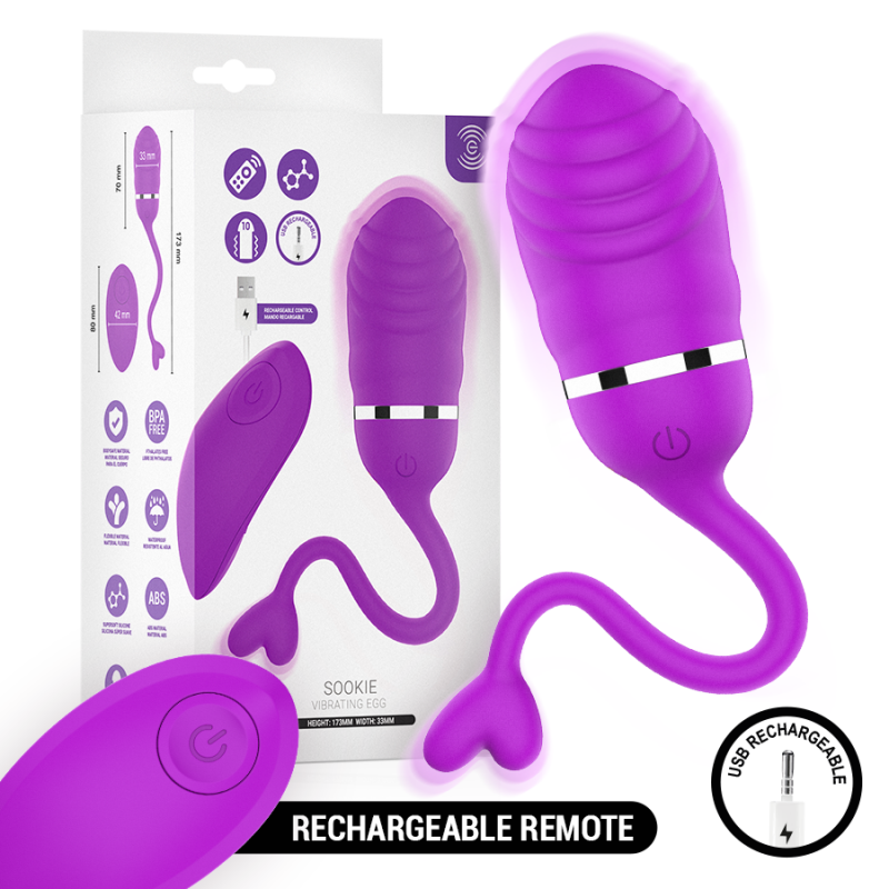 Purple rechargeable vibrating egg with remote, shown with its packaging and USB charging icon.